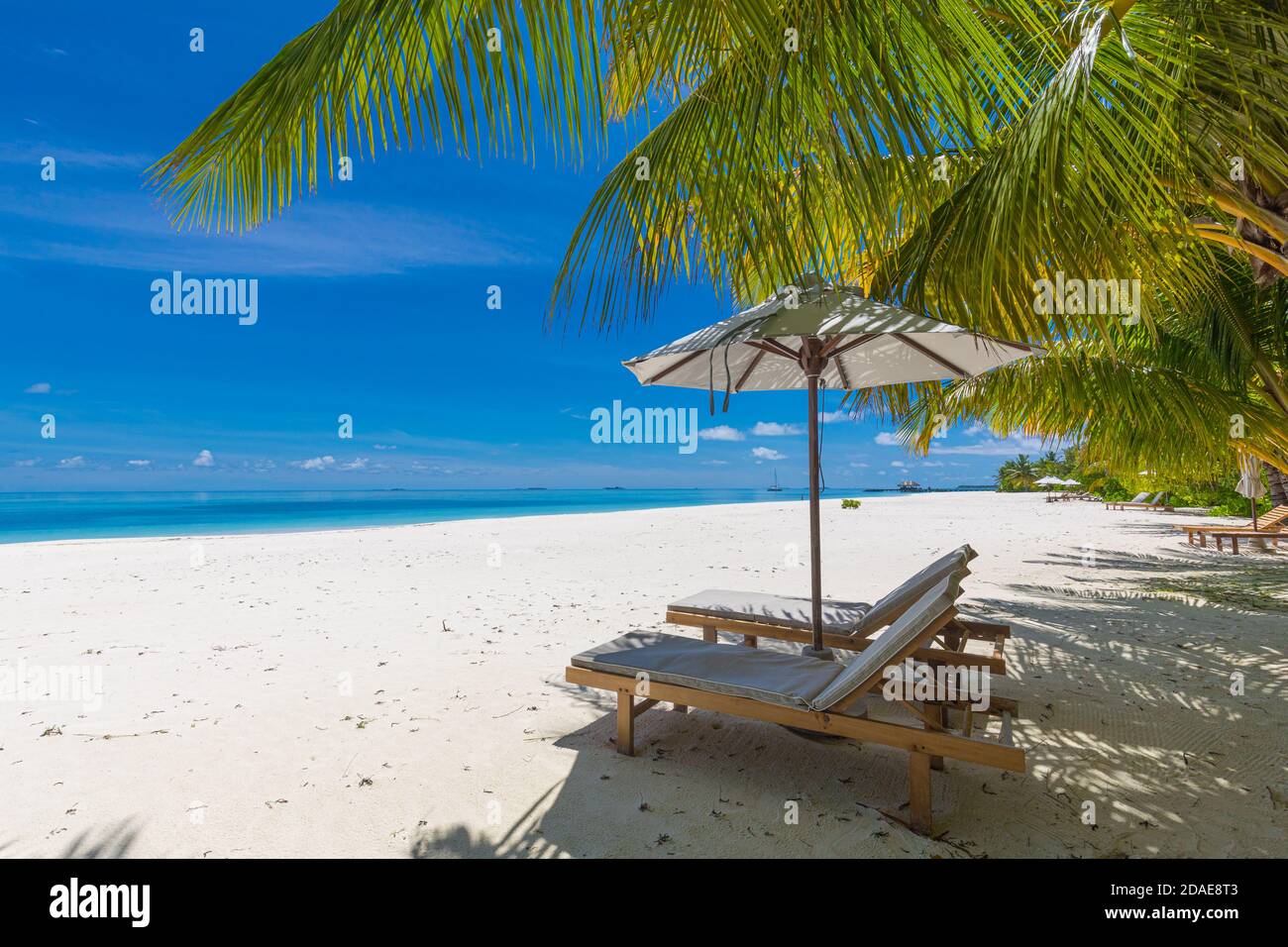 Belle plage tropicale bannière. Le sable blanc et les palmiers coco Voyage tourisme large panorama arrière-plan. Paysage incroyable. Vacances de luxe sur l'île Banque D'Images