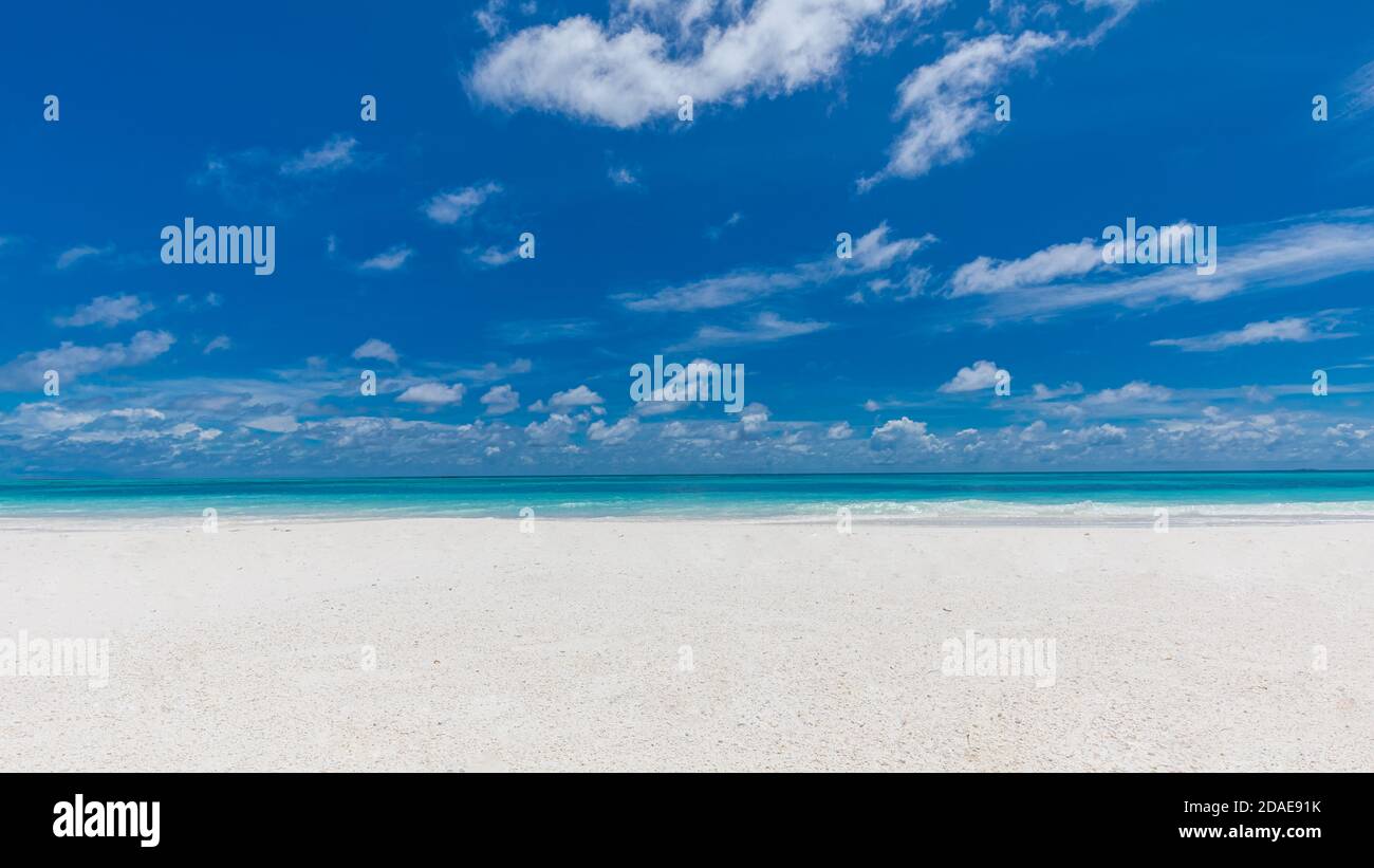 Belle plage, paysage minimal, ciel de sable de mer. Plage tropicale paradisiaque avec sable blanc et coco palmiers Voyage tourisme large panorama fond Banque D'Images