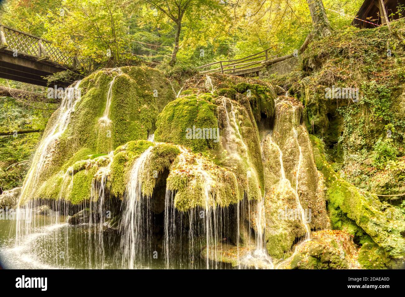 La magnifique cascade unique de Bigar pleine de mousse verte, Bozovici, Caras-Severin, Roumanie. Banque D'Images