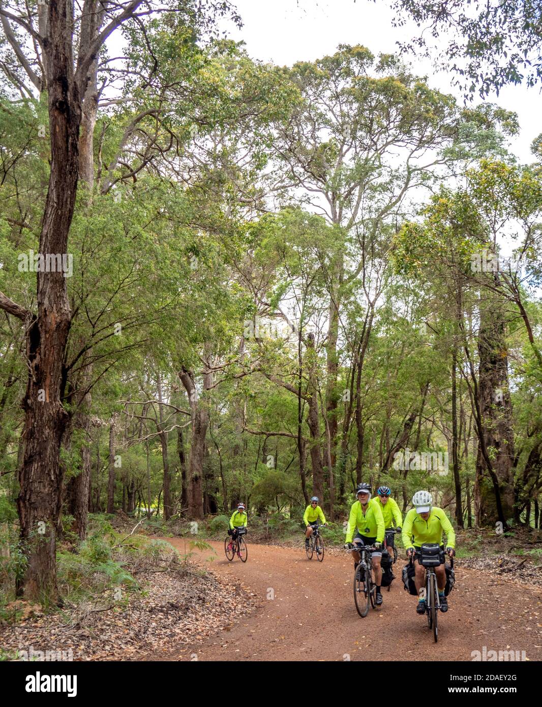 Cyclistes voyageant en vacances à vélo sur route de gravier dans le parc national de Forest Grove Margaret River Australie occidentale. Banque D'Images