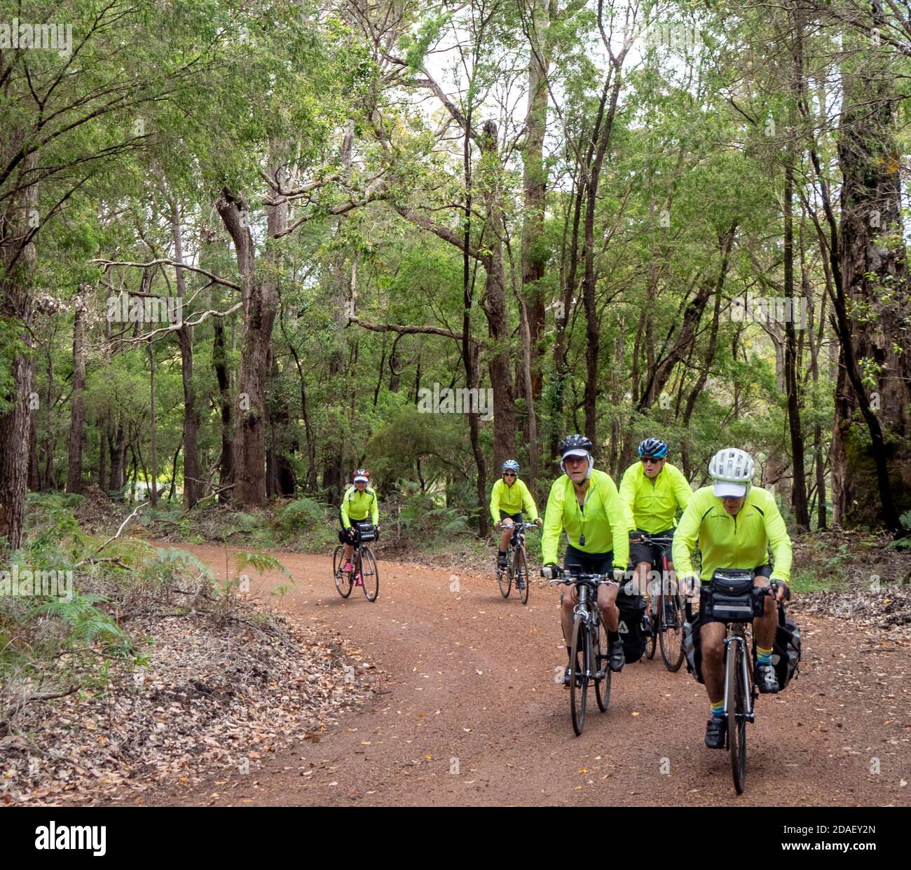 Cyclistes voyageant en vacances à vélo sur route de gravier dans le parc national de Forest Grove Margaret River Australie occidentale. Banque D'Images