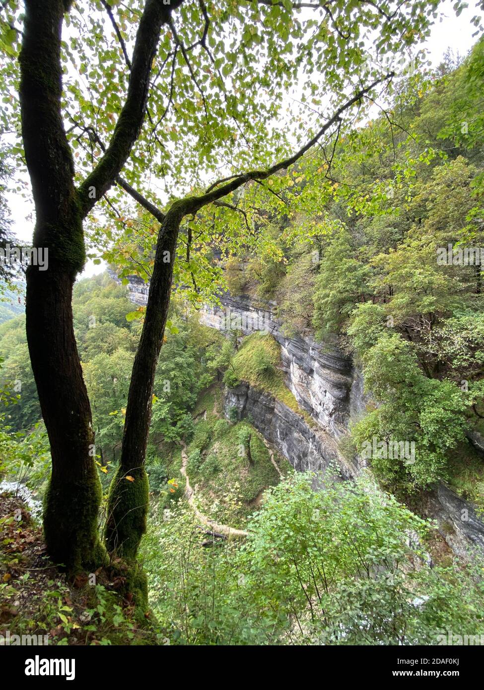 La cascade du Grand Saut est l'une des nombreuses chutes de la Cascade du herisson, france, jura Banque D'Images La cascade du Grand Saut est l'une des nombreuses chutes de la Cascade du herisson, france, jura Banque D'Images