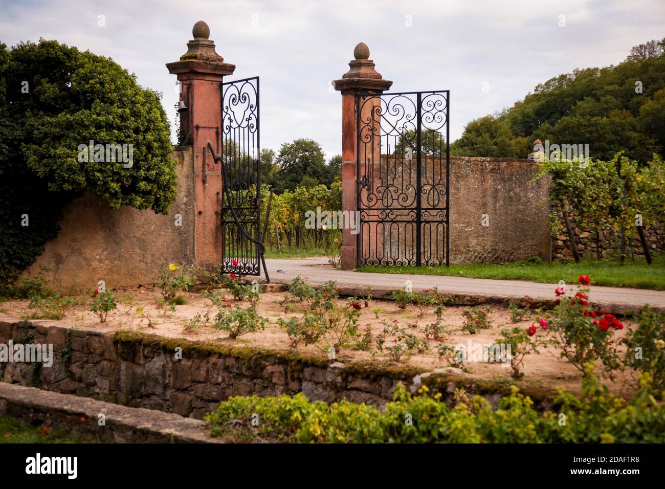 De belles portes authentiques sur le vignoble. Paysage français. Banque D'Images