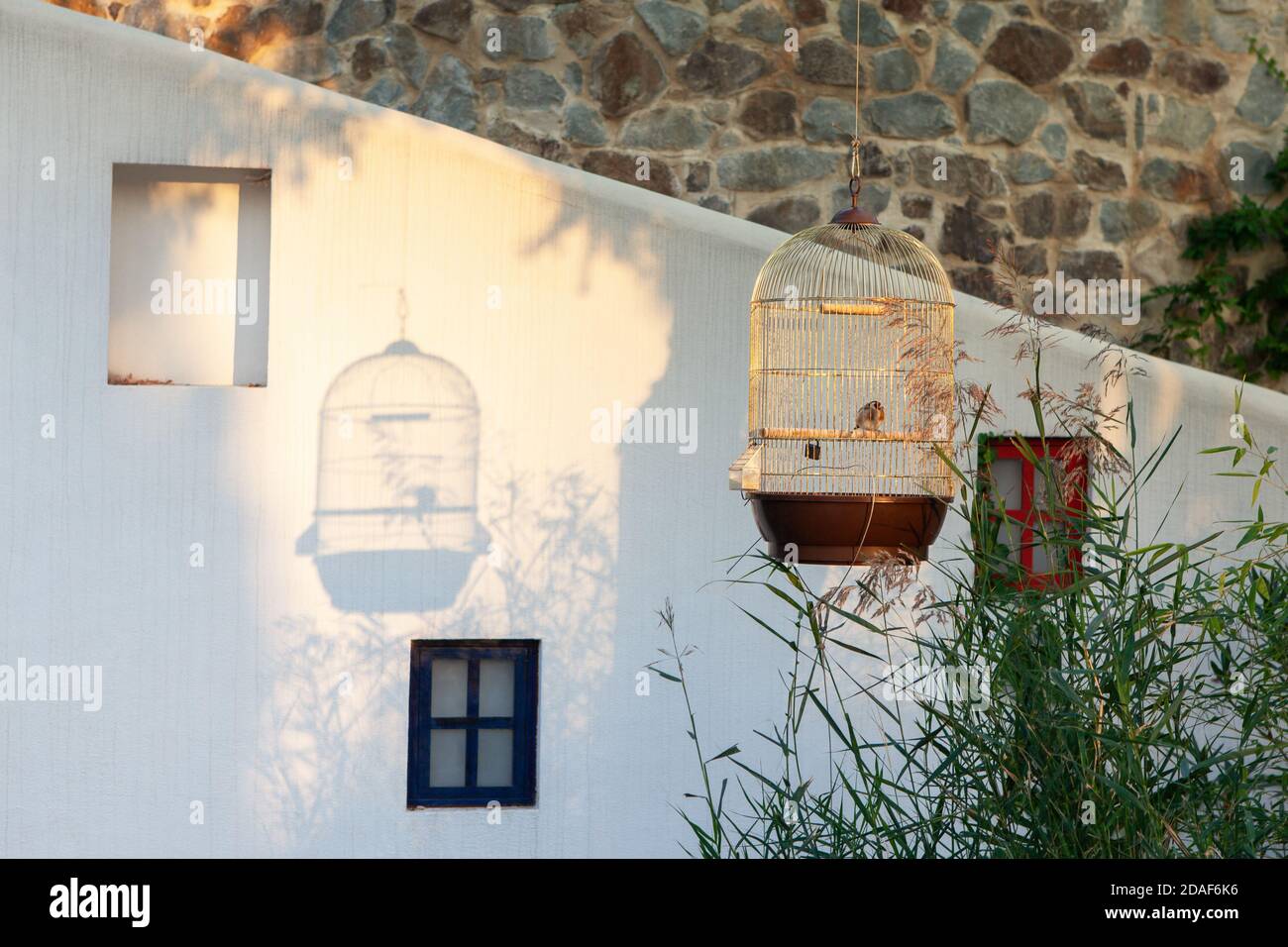 Magnifique paysage méditerranéen. La cage dorée à la fingue dorée projette de l'ombre sur le mur, ce qui donne le soleil d'été. Cour de la maison dans la station. Banque D'Images