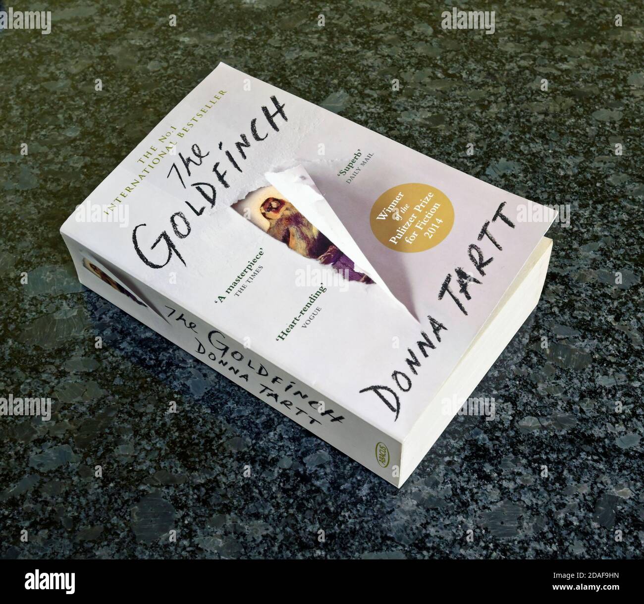 Couverture de livre de poche. « The Goldfinch » de Donna Tartt. Le BEST-seller  international n°1 Photo Stock - Alamy