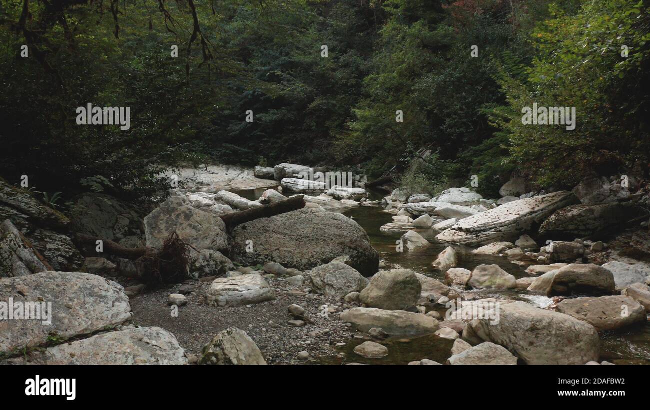 Rivière de montagne parmi les rochers. Rivière Carpathian dans la forêt. Une rivière dans la gorge de Sotchi. Banque D'Images