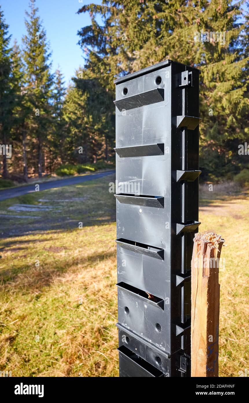 Gros plan du piège à phéromone du coléoptère de l'écorce dans la forêt, mise au point sélective. Banque D'Images