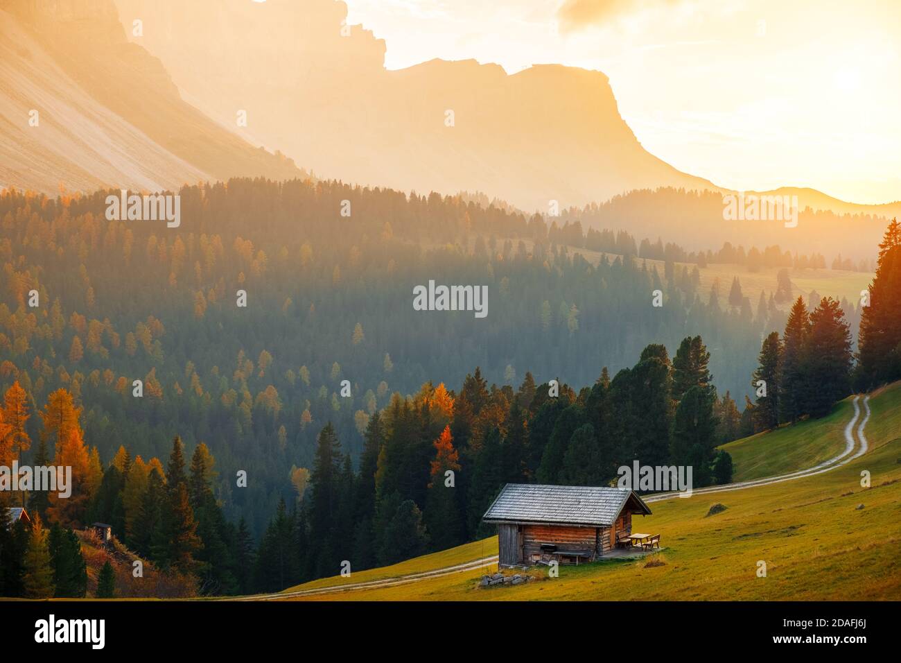 Magnifiques couleurs d'automne au pied des montagnes Odle, en toile de fond des montagnes Seceda au coucher du soleil dans les Dolomites, Trentin-Haut-Adige, Val Banque D'Images