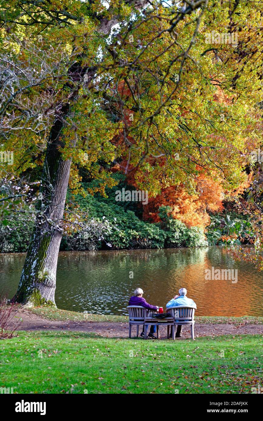 Vue arrière d'un couple âgé assis sur un banc près d'un lac avec des arbres automnaux colorés en arrière-plan, Sussex UK Banque D'Images