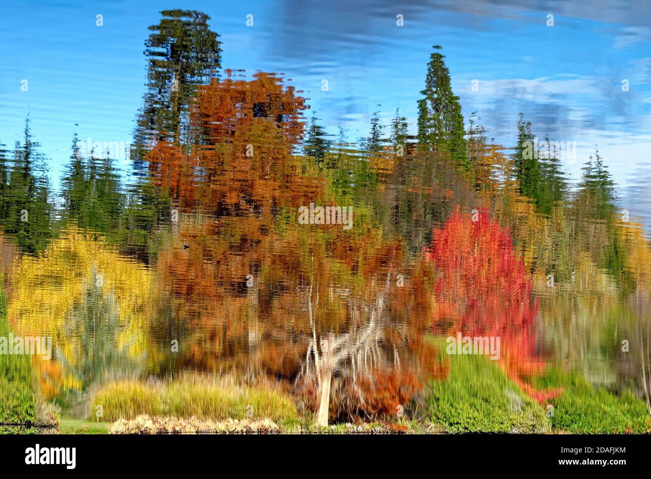 Réflexions abstraites impressionnistes sur la surface de l'eau des arbres d'automne colorés Banque D'Images