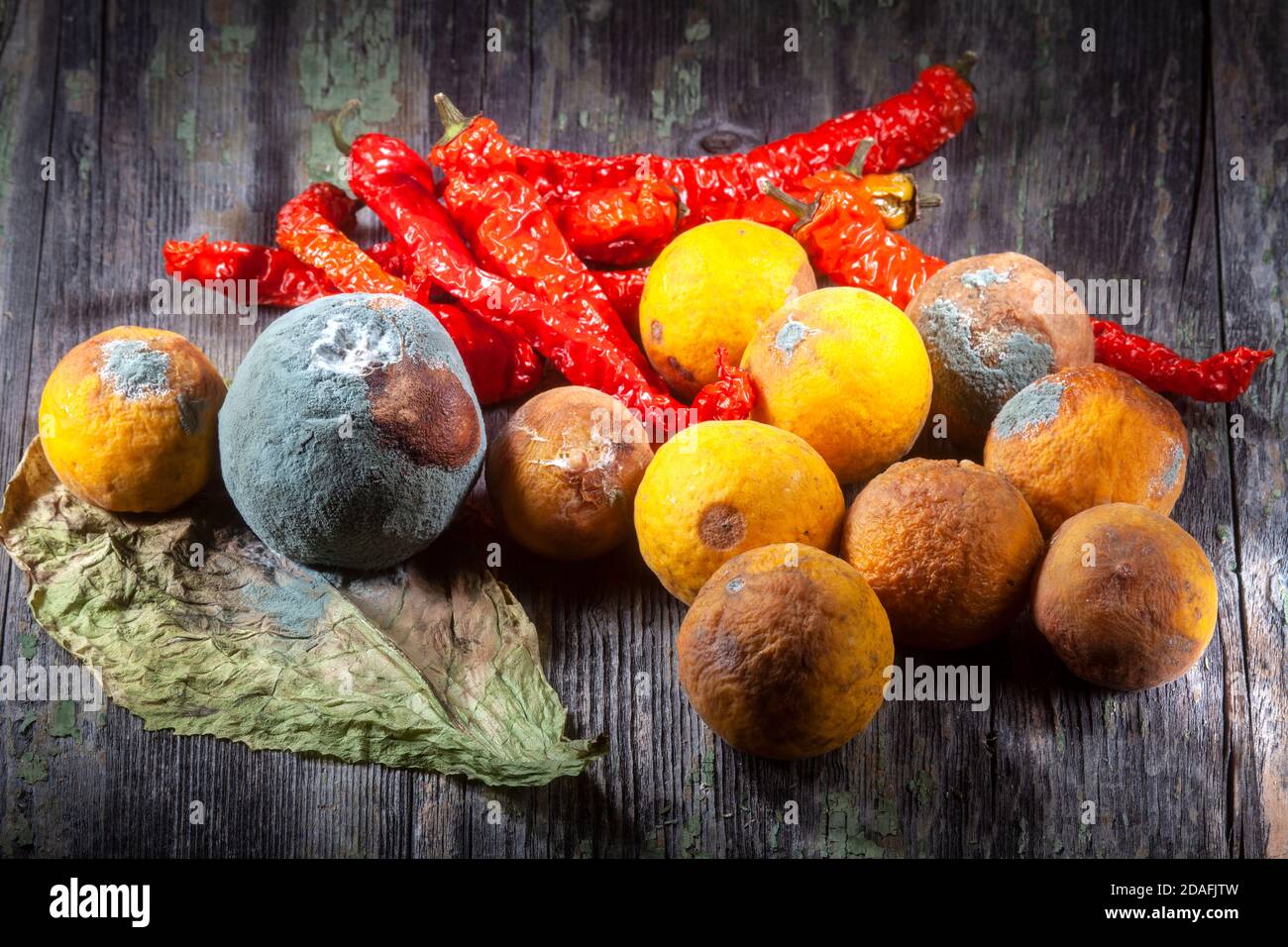 STILL Life photo de l'orange en décomposition moulé Fruitsand Red Peppers Sur fond en bois décalé Banque D'Images