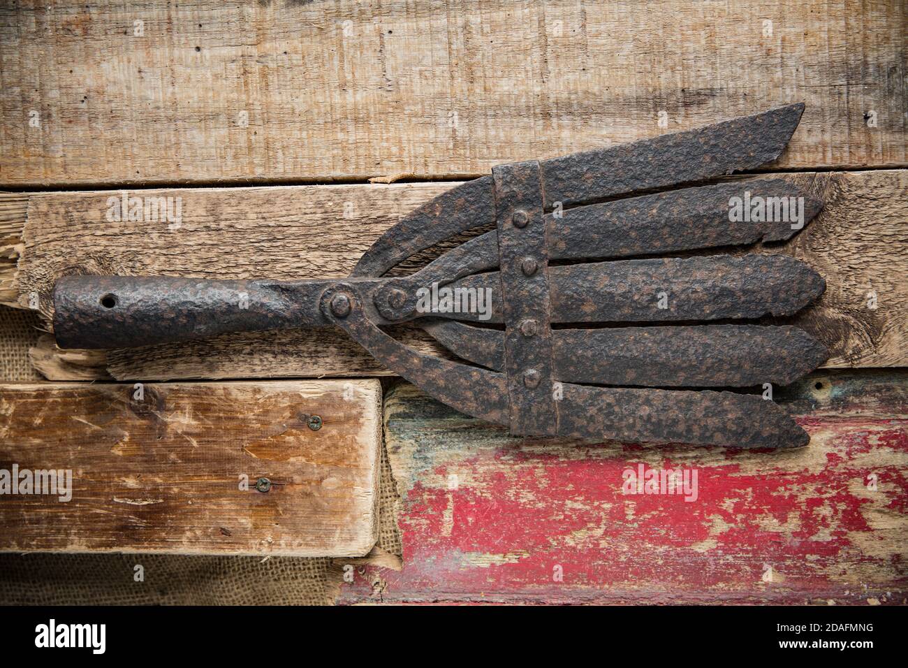 Une vieille lance d'anguilles en métal conçue pour capturer des anguilles européennes, Anguilla anguilla, photographiée sur fond de bois. Les lances à anguilles étaient connues par plusieurs n Banque D'Images