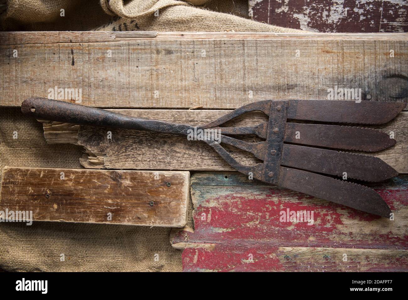Une vieille lance d'anguilles en métal conçue pour capturer des anguilles européennes, Anguilla anguilla, photographiée sur fond de bois. Les lances à anguilles étaient connues par plusieurs n Banque D'Images