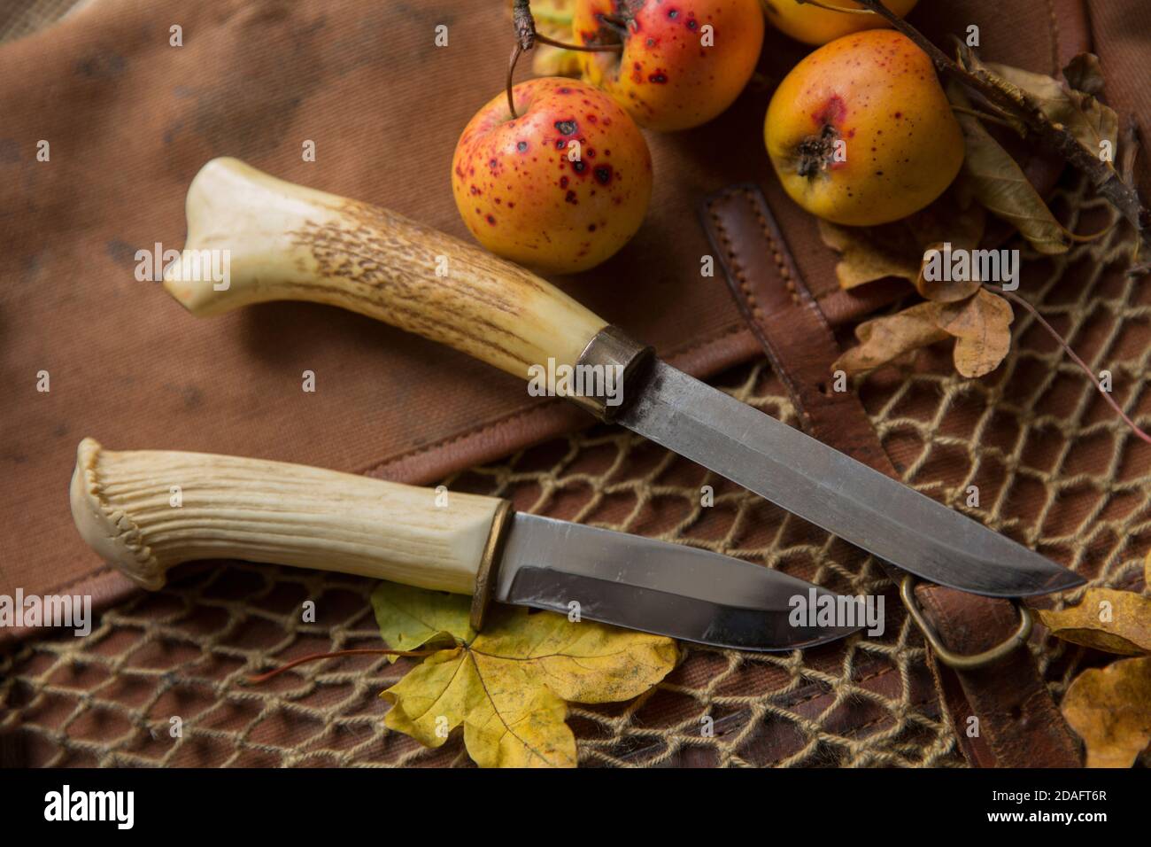 Couteaux avec poignées en staghorn qui ont été présentés maison sur un vieux sac de tir avec des pommes sauvages fourrées. Dorset Angleterre GB Banque D'Images