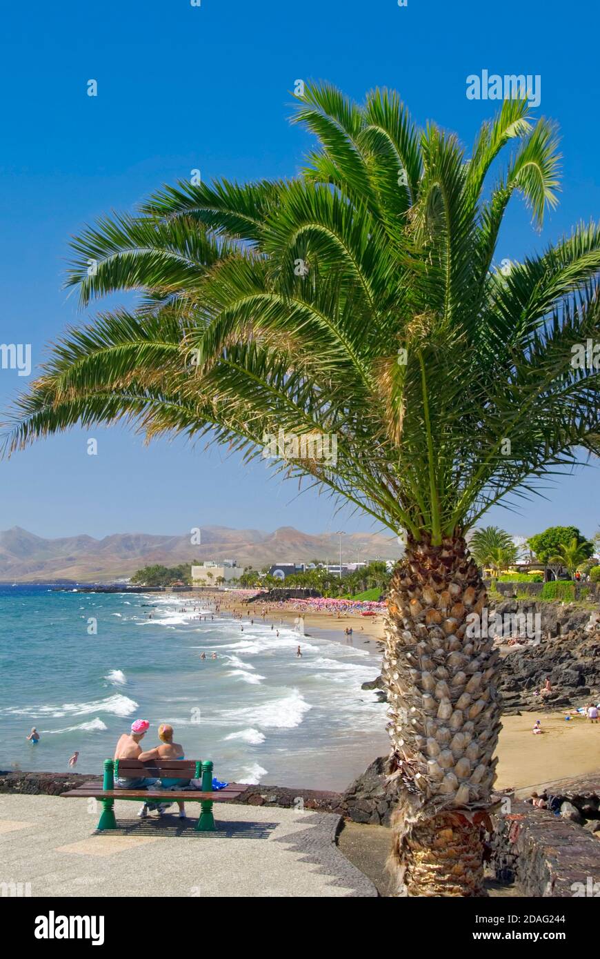 PLAYA DEL CARMEN LANZAROTE couple assis sur un banc encadré par palmier donnant sur la plage de sable de vacances vue à Puerto del Carmen Iles Canaries Espagne Banque D'Images