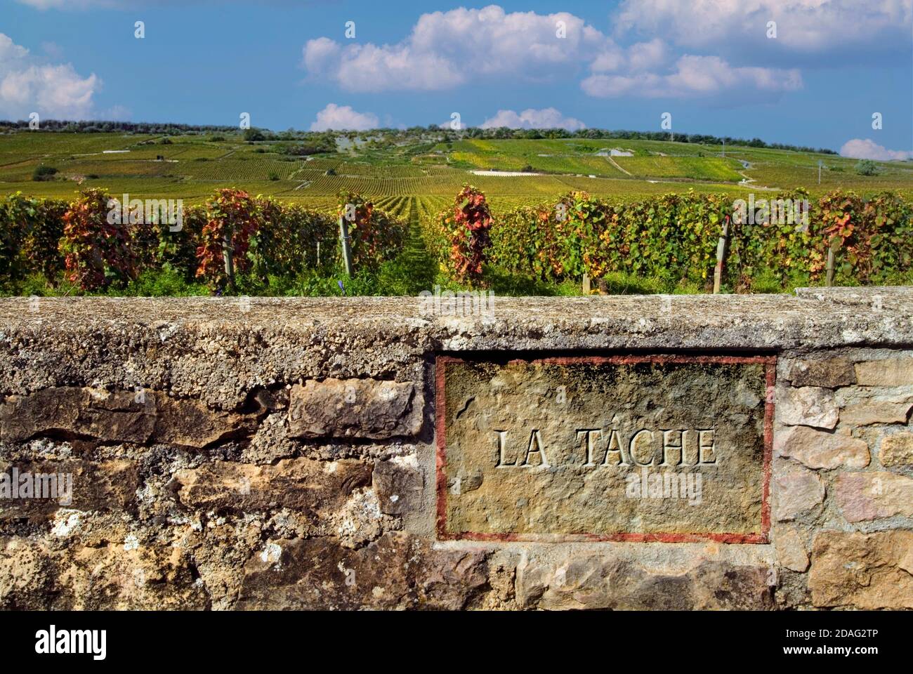 Le vignoble de la Tache plaque en pierre gravée sur le mur limite du domaine de la Romanee-Conti, Vosne Romanee, Côte d’Or, France Banque D'Images