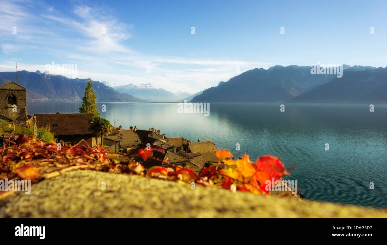 Village de Saint-Saphorin dans le célèbre quartier de Lavaux en Suisse. Couleurs d'automne, lac, Alpes et ciel bleu vif. Banque D'Images