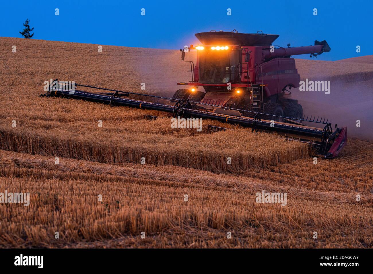 La moissonneuse-batteuse CaseIH récolte du blé au crépuscule sur les collines de La région de Palouse dans l'est de Washington Banque D'Images