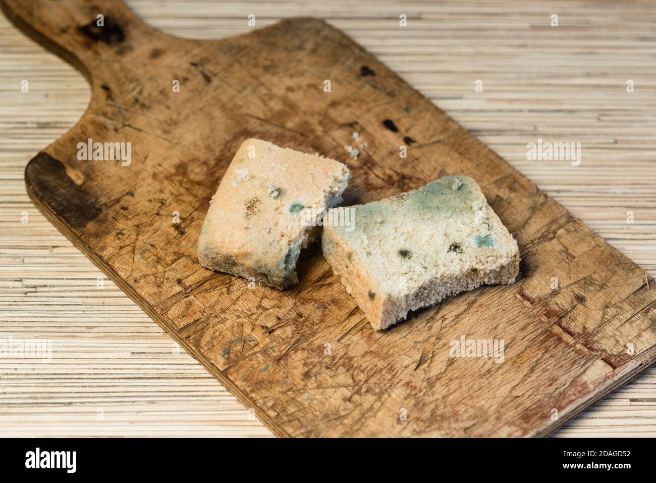 Sur une vieille planche à découper en bois se trouvent deux tranches de pain non comestible mouleux. Moule vert Banque D'Images
