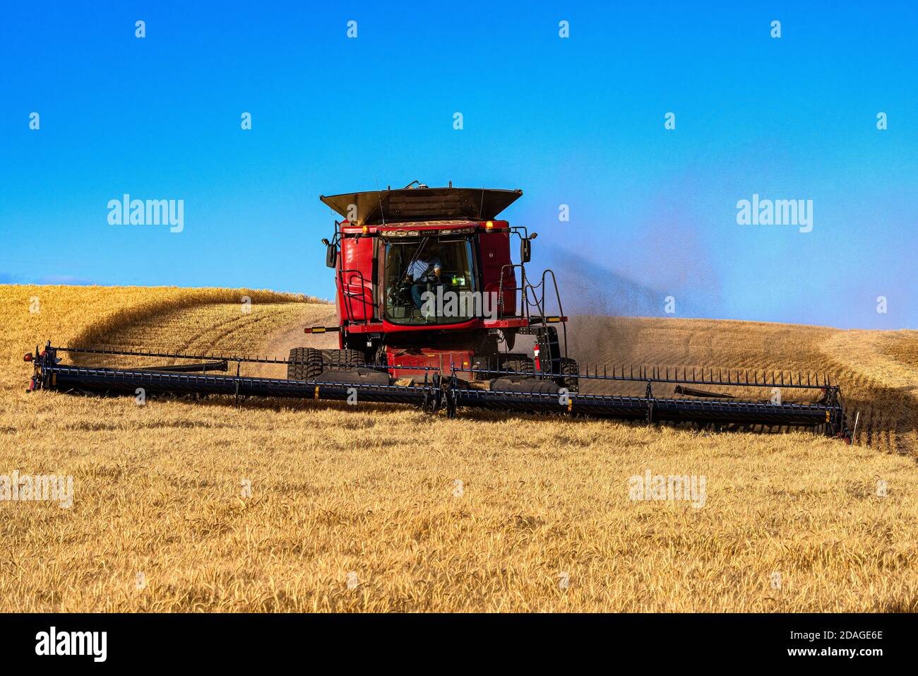 Moissonneuse-batteuse à nivellement automatique CaseIH pour la récolte de blé sur les collines de La région de Palouse dans l'est de Washington Banque D'Images