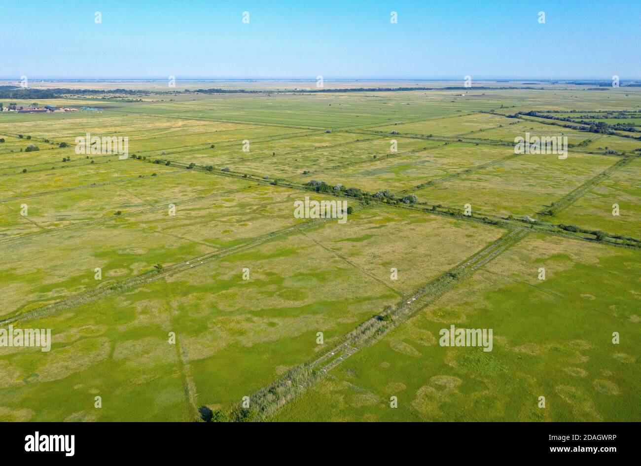 puszta au sud-ouest de Hortobagy, vue aérienne, Hongrie, Hajdu-Bihar, parc national de Hortobagy Banque D'Images