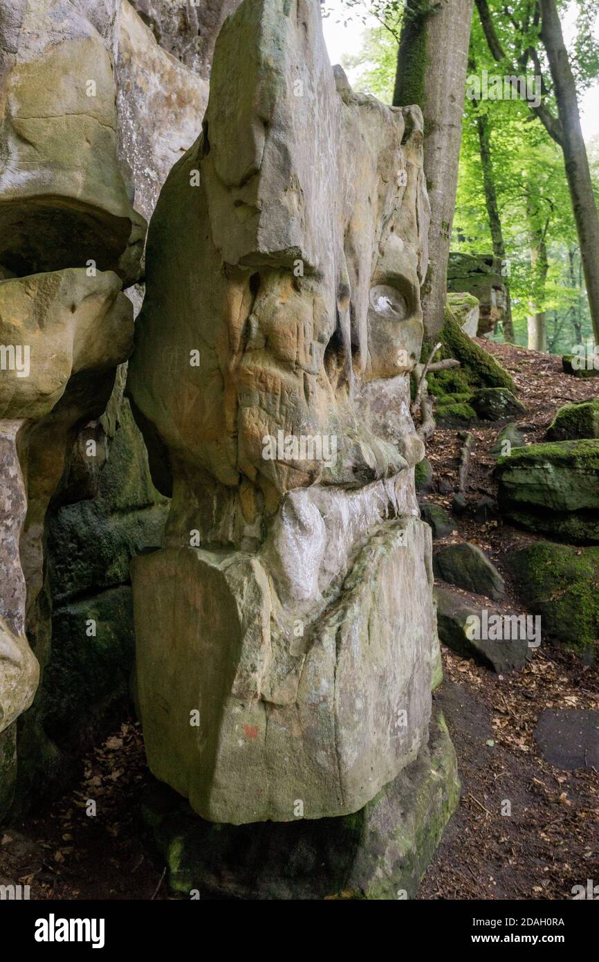 Face de dinosour naturellement caveillée en pierre de la forêt Banque D'Images