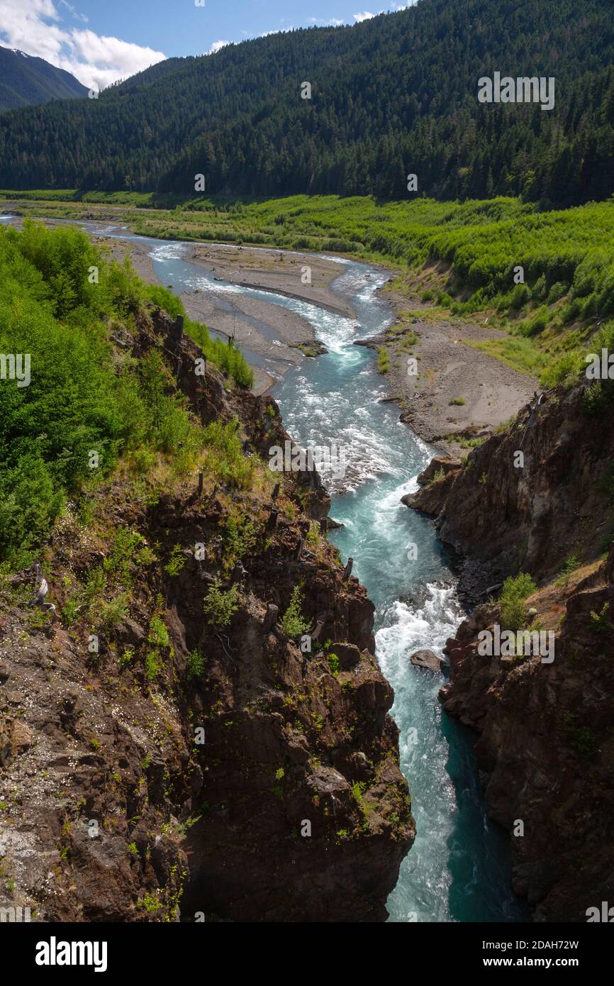 WA18022-00...WASHINGTON - la végétation couvrant le site de Lake Mills, est maintenant retournée à la rivière Elwha qui coule librement après l'enlèvement de la boîte de Glines Banque D'Images