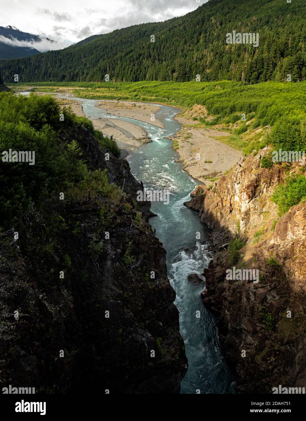 WA18030-00...WASHINGTON - la rivière Elwha qui traverse le Gline Canyon, ancien emplacement d'un barrage, dans le parc national olympique. Banque D'Images