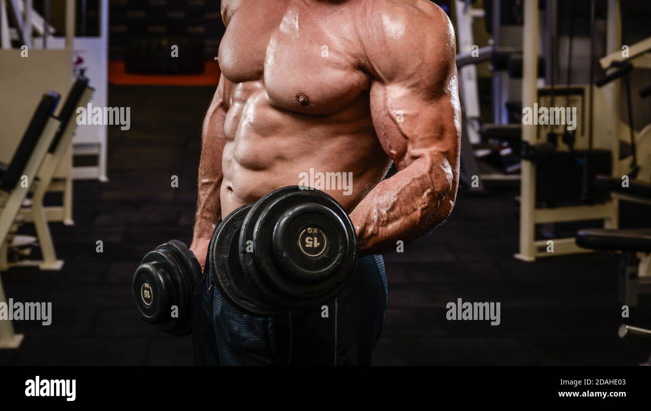 corps physique fort de muscle d'entraînement masculin pompage biceps avec repasser les haltères lourdes Banque D'Images