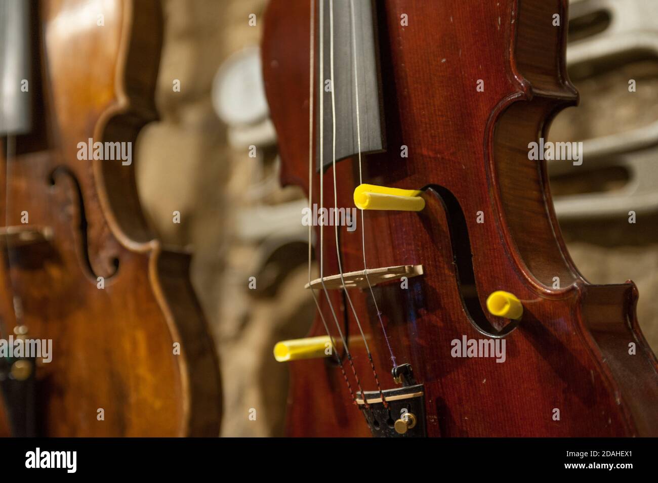 Atelier de fabrication de violon napolitain 'Liuteria Napoli' Banque D'Images