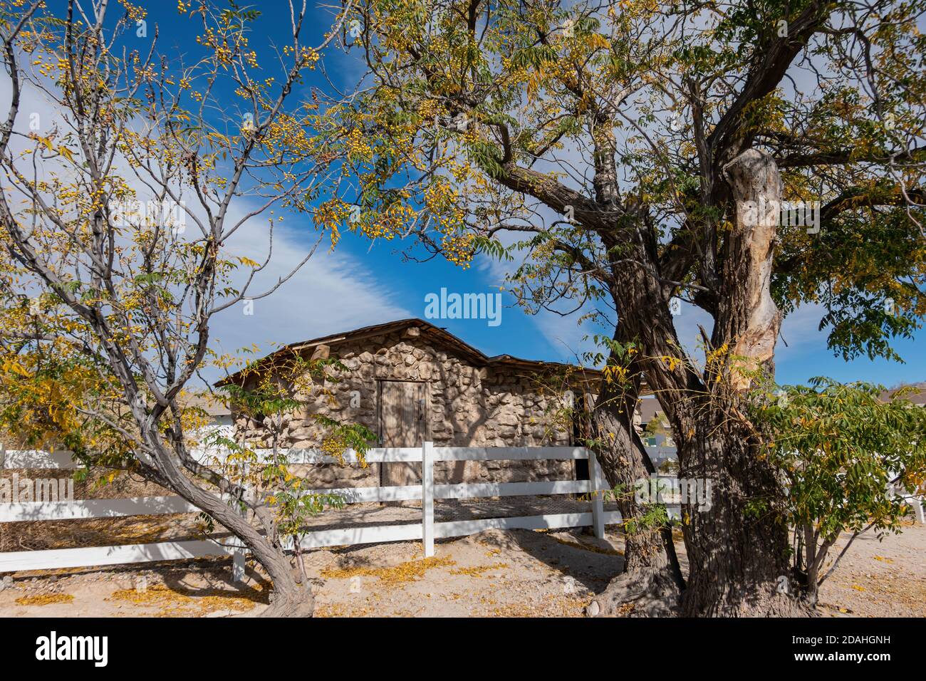 Vue du matin sur le parc Floyd Lamb de Las Vegas, Nevada Banque D'Images