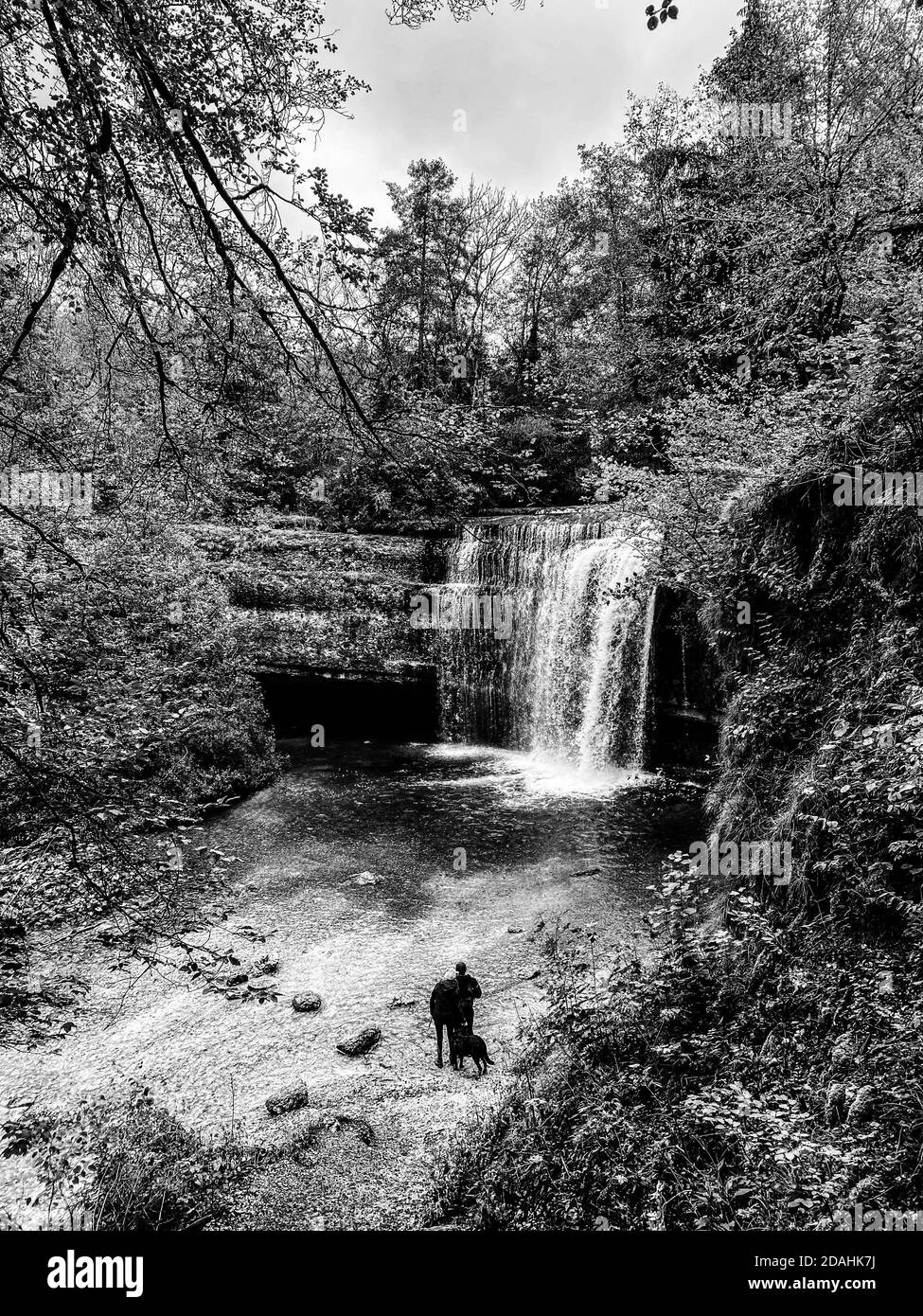 La chute d'eau de la Forge est l'une des nombreuses chutes de la Cascade du hérisson, france, jura Banque D'Images La chute d'eau de la Forge est l'une des nombreuses chutes de la Cascade du hérisson, france, jura Banque D'Images