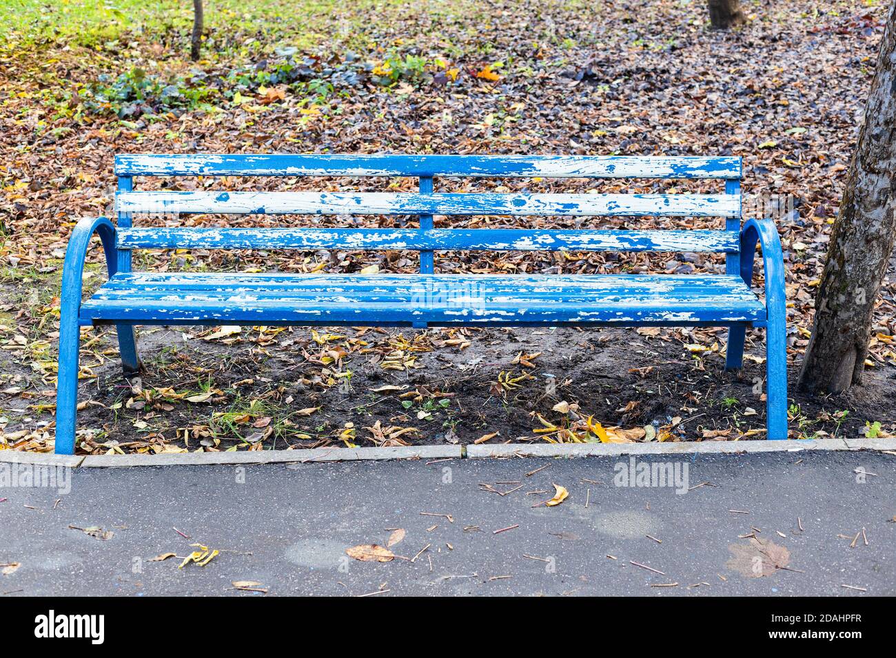 banc en bois bleu et blanc dans le jardin public de la ville le jour de l'automne Banque D'Images