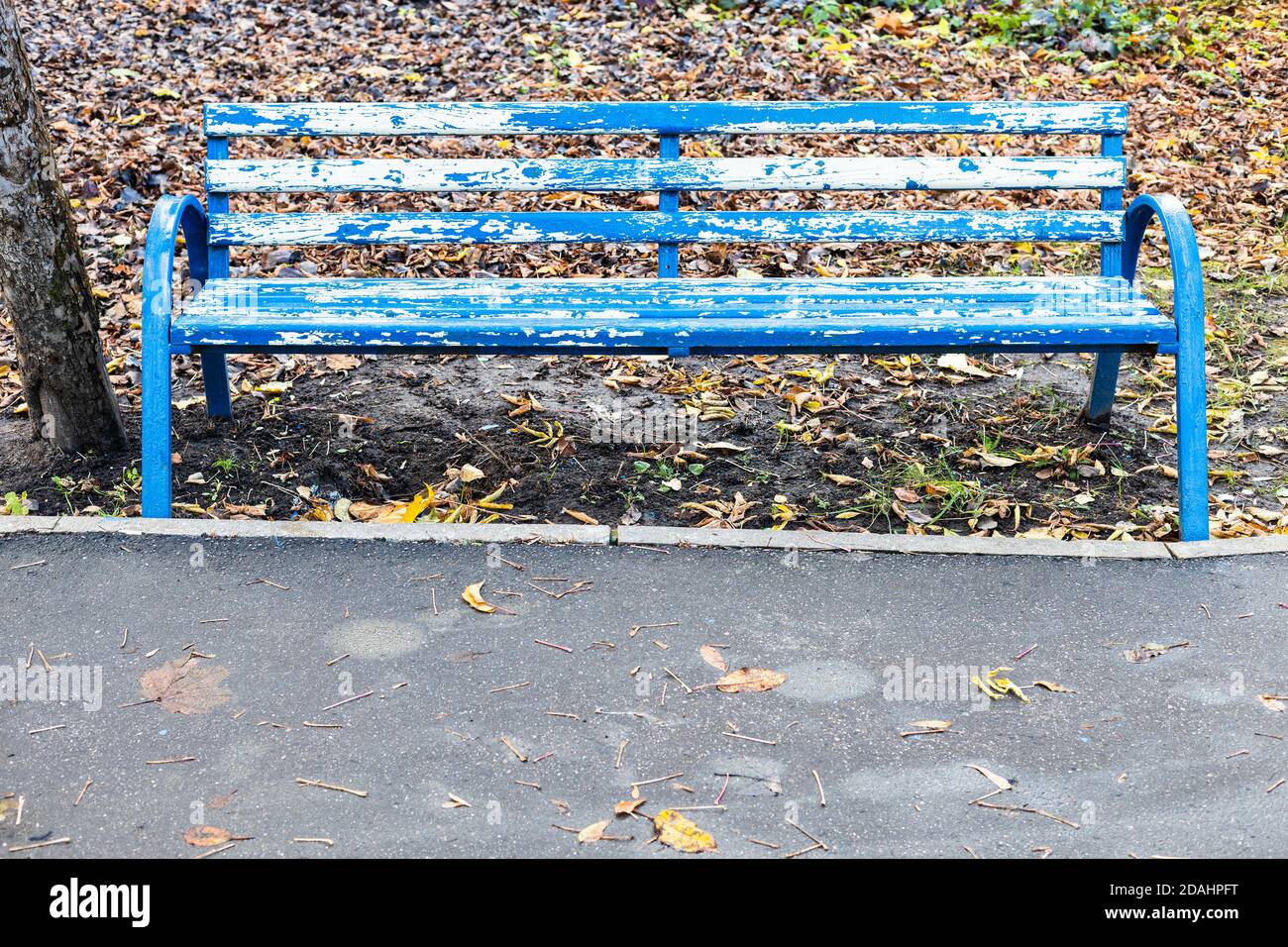 banc en bois bleu de merde dans le parc de la ville le jour de l'automne Banque D'Images