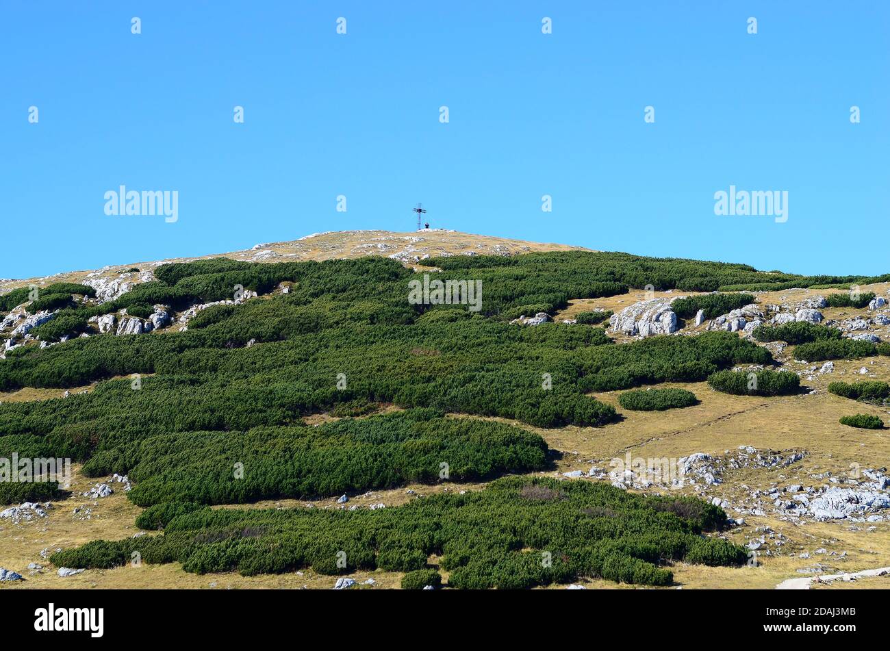 L'Autriche, les pins de montagne et la croix du mémorial sur la montagne Schneeberg Banque D'Images