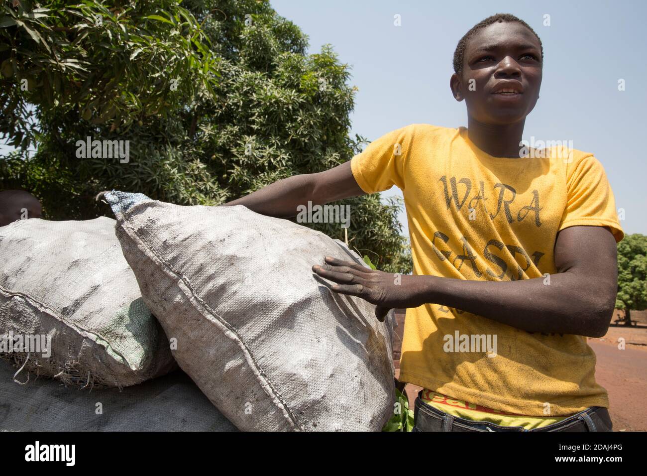 Selingue, Mali, le 25 avril 2015; Sayo Keita, 17 ans, vendeur de charbon de bois, travaille avec son frère. Il a quitté l'école récemment, a obtenu la 9e année. Banque D'Images