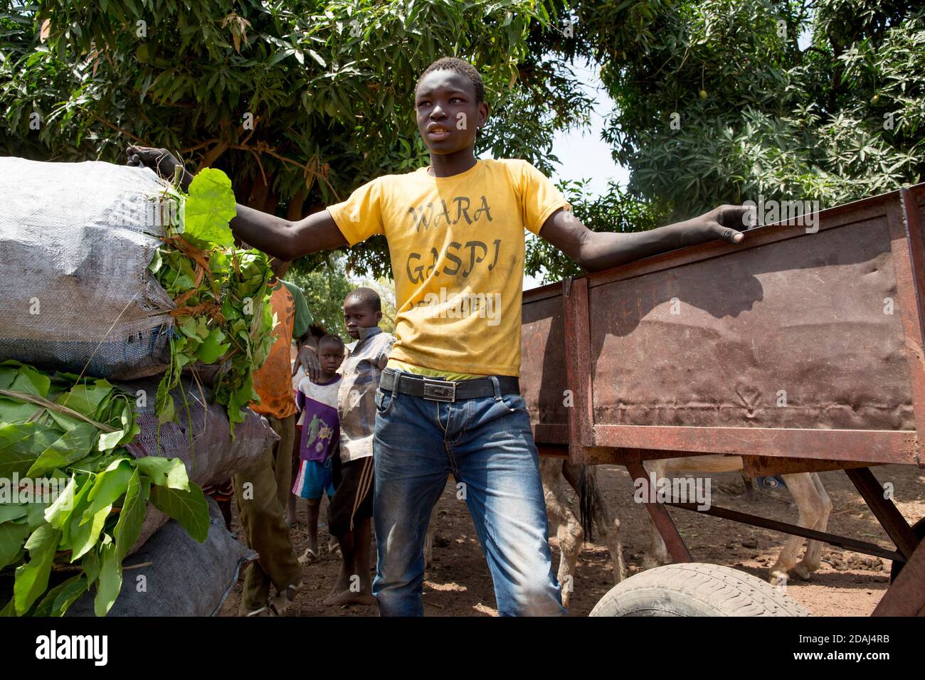 Selingue, Mali, le 25 avril 2015; Sayo Keita, 17 ans, vendeur de charbon de bois, travaille avec son frère. Il a quitté l'école récemment, a obtenu la 9e année. Banque D'Images