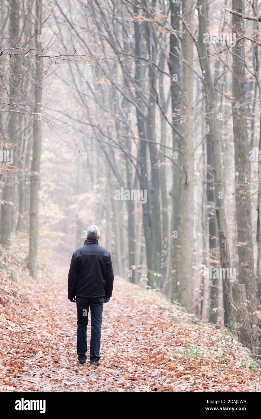 Homme mature ou senior marchant seul dans une forêt à automne ou hiver - concentrez-vous sur l'homme Banque D'Images