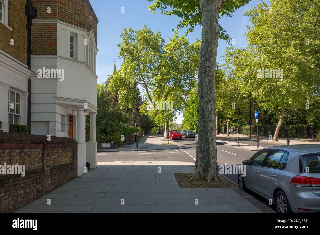 Arbre et large pavé sur Ladbrooke Grove, Londres, Royaume-Uni Banque D'Images