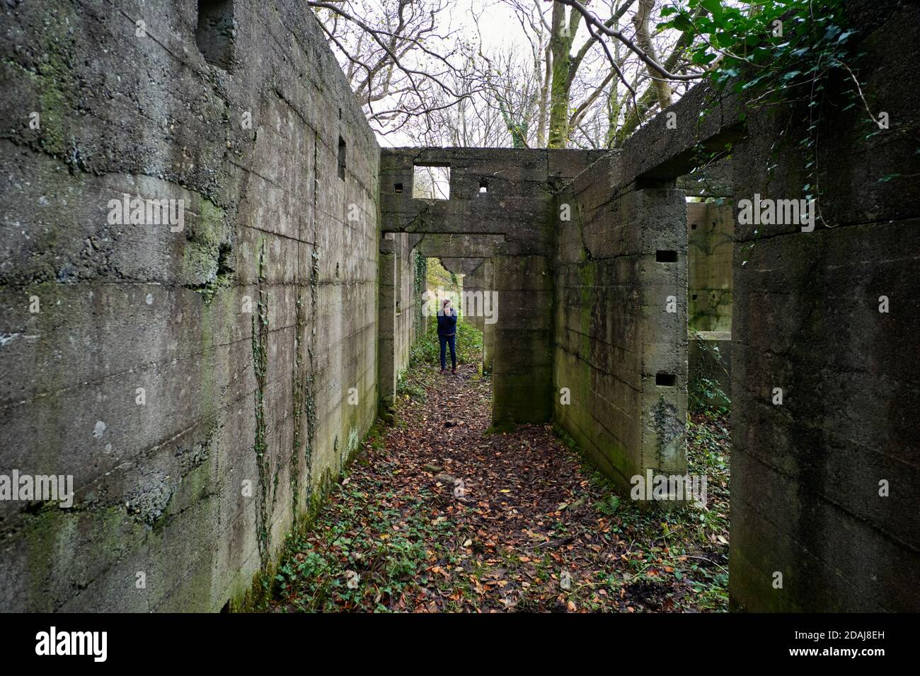 Janet Lees poète et photographe au travail dans une usine abandonnée à Cornaa, île de Man Banque D'Images