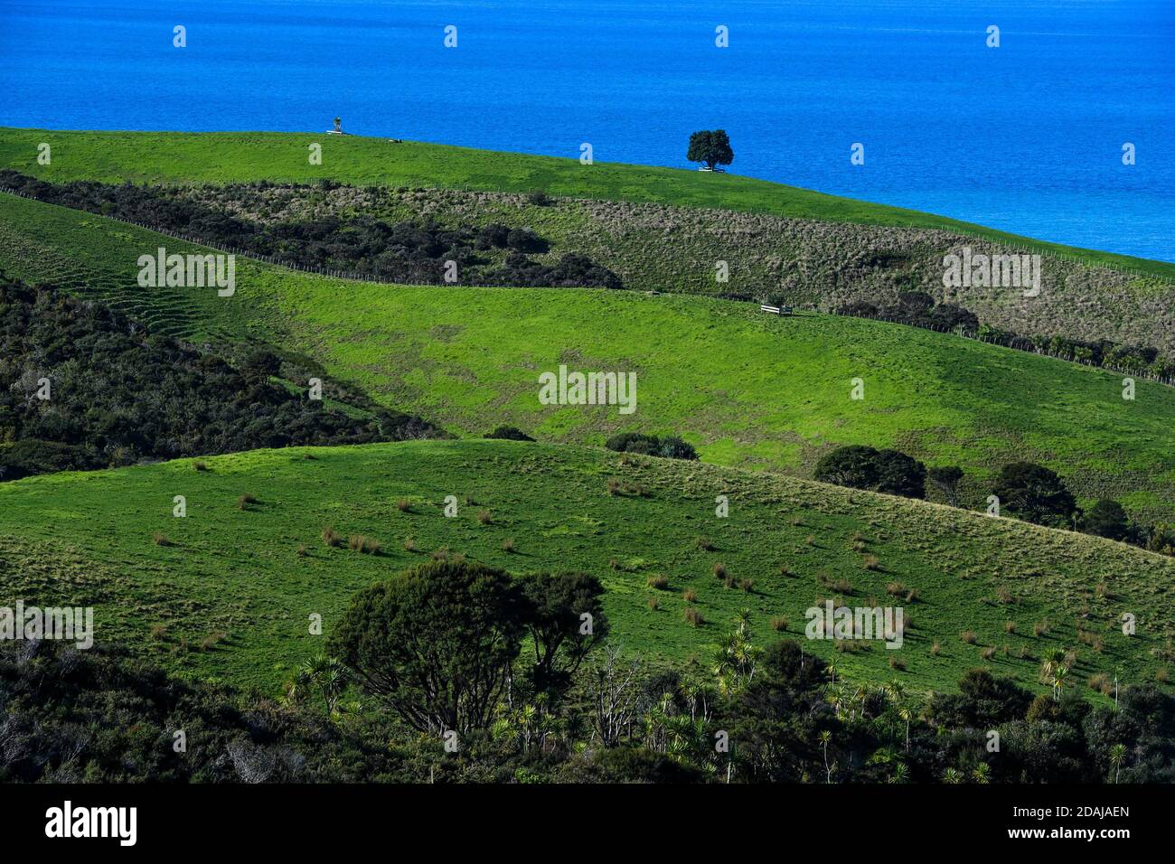 Auckland. 22 juin 2018. Photo prise le 22 juin 2018 montre la vue de la péninsule de Shakespeare dans la banlieue d'Auckland, Nouvelle-Zélande. Auckland, avec une population d'environ 1.5 millions d'habitants, est une ville métropolitaine de l'île du Nord de la Nouvelle-Zélande. Credit: Guo Lei/Xinhua/Alay Live News Banque D'Images