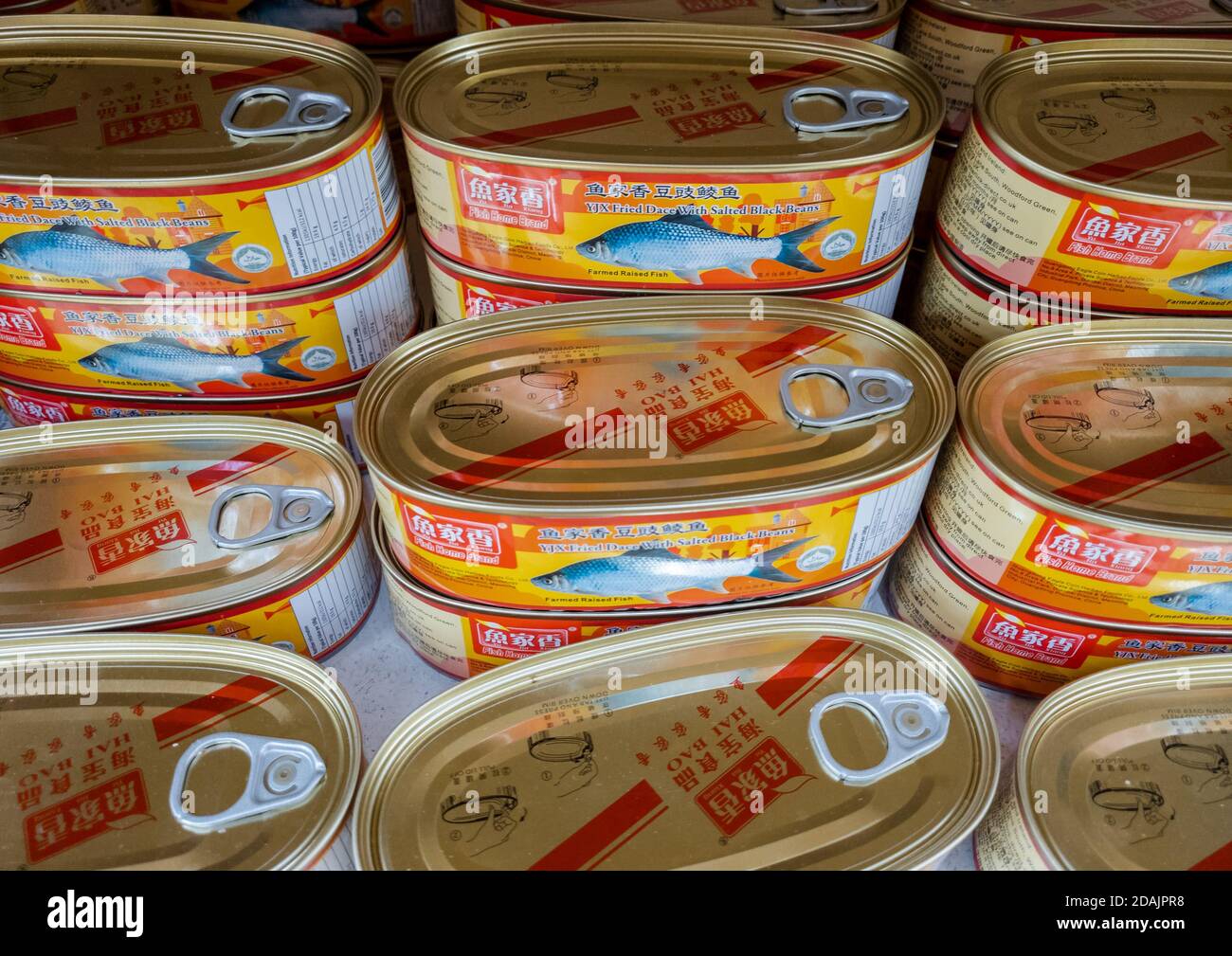 Importation de boîtes de poisson dans un supermarché chinois. Banque D'Images