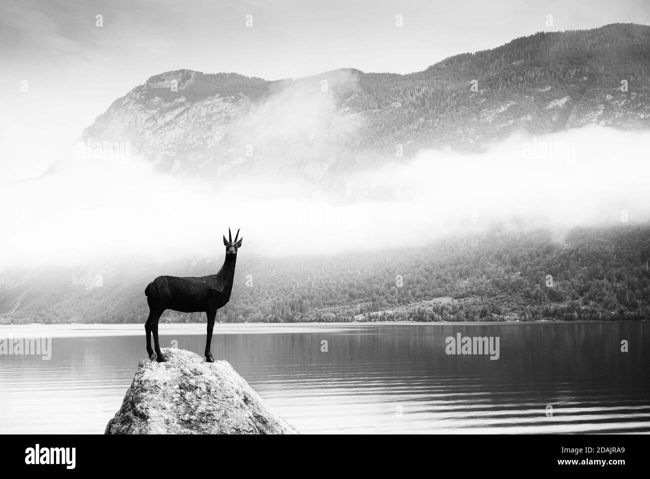 Lac de Bohinj dans Parc national du Triglav, en Slovénie Banque D'Images