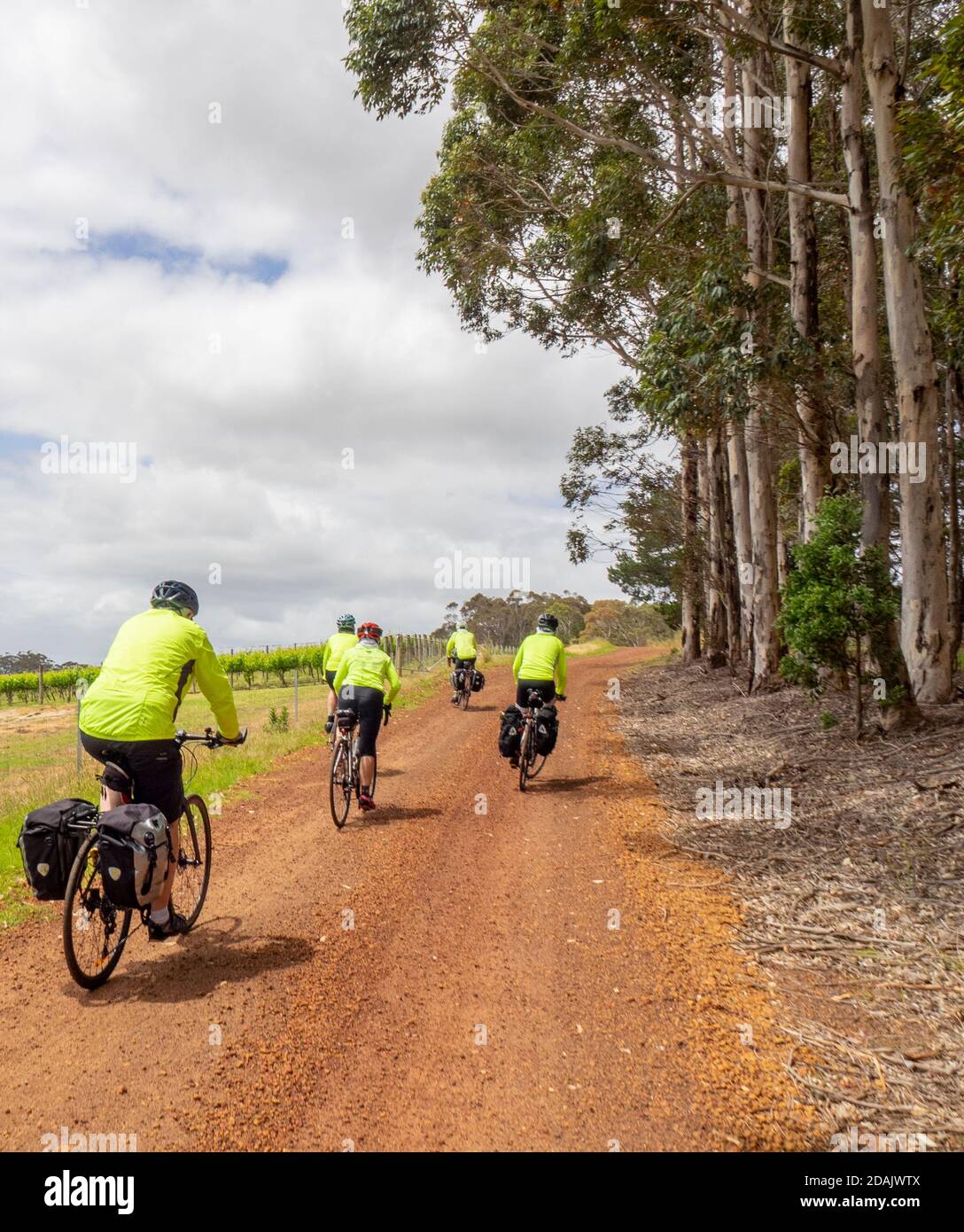 Les cyclistes voyageant sur des vacances à vélo sur un pays Route dans la région de Margaret River Australie occidentale Banque D'Images