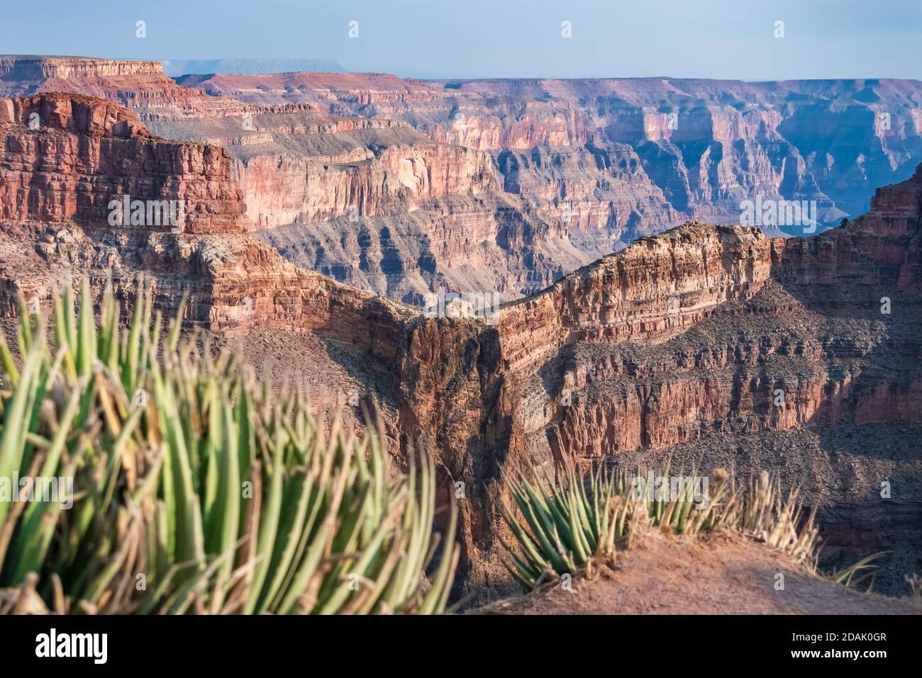 Vue sur Eagle point dans le Grand Canyon Arizona Banque D'Images