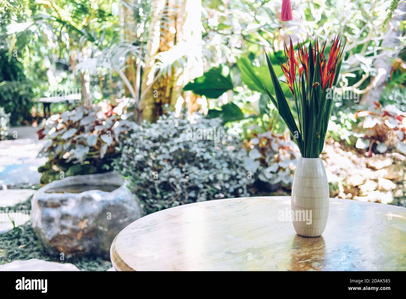 oiseau de paradis fleur dans vase pour la décoration dans le jardin Banque D'Images