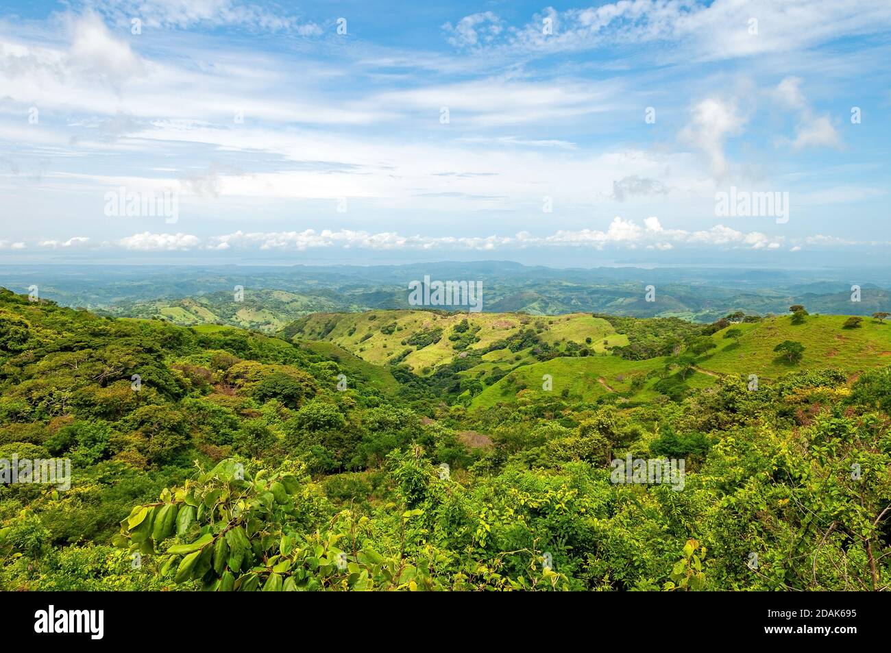 Paysage vert du parc national de Monteverde, Costa Rica. Banque D'Images