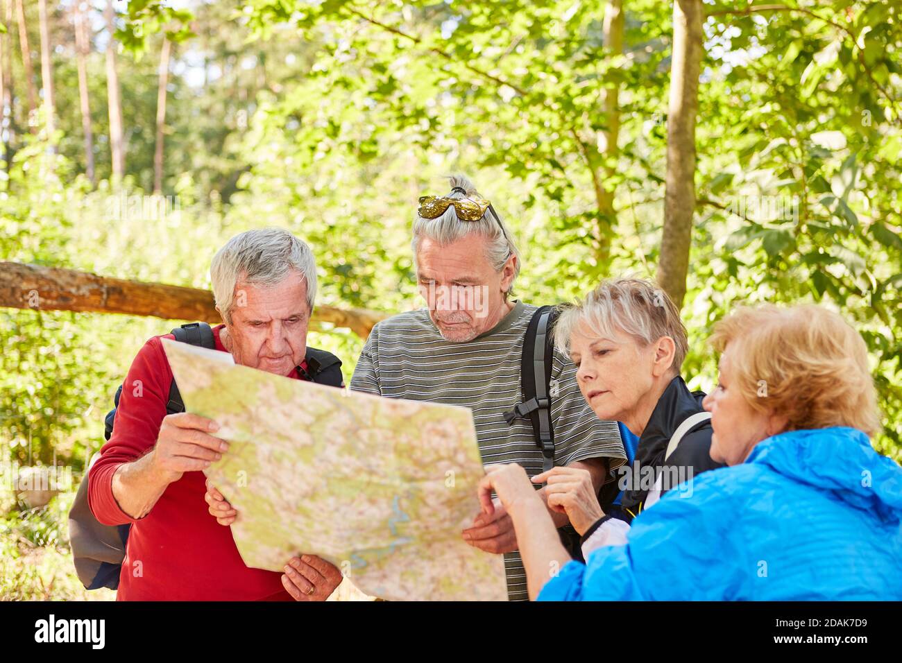 Groupe d'aînés sur une randonnée avec carte de randonnée dans nature en été Banque D'Images