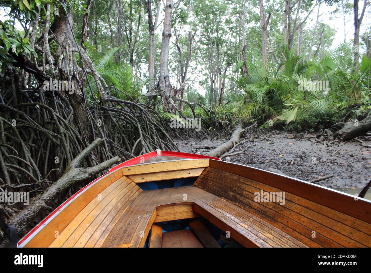 Bateau seul dans la forêt tropicale de Bornéo, Brunei Darussalam. Banque D'Images