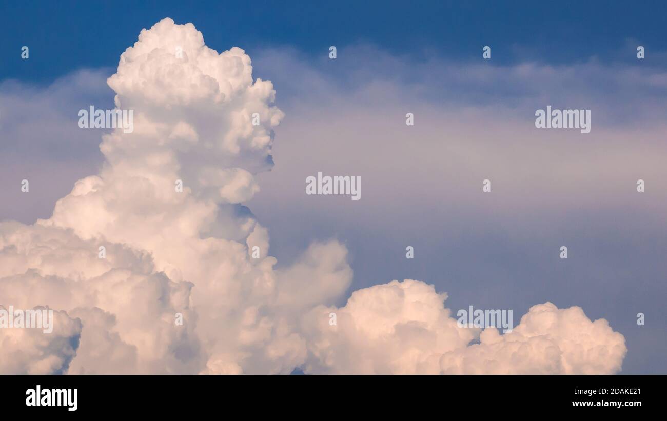 Colonne magnifiquement développée d'un nuage massif (cumulus congestus ou cumulus) Banque D'Images